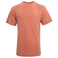 Load image into Gallery viewer, Unisex Recover Organic Short Sleeve T-Shirt
