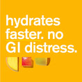 Load image into Gallery viewer, Skratch Labs Hydration Sport Drink Mix
